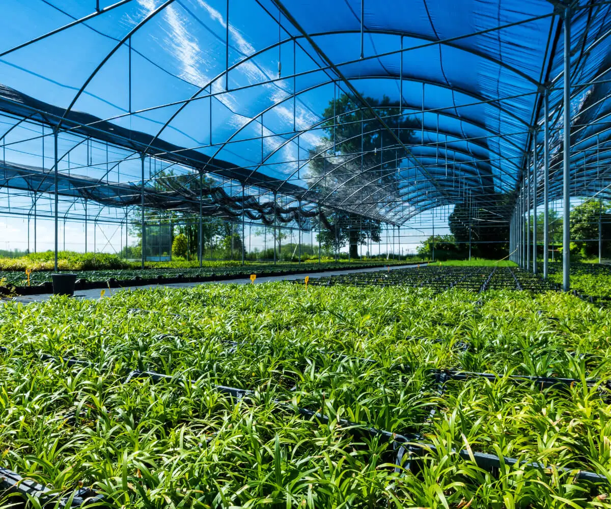 Cultivation industry growth with HCPA