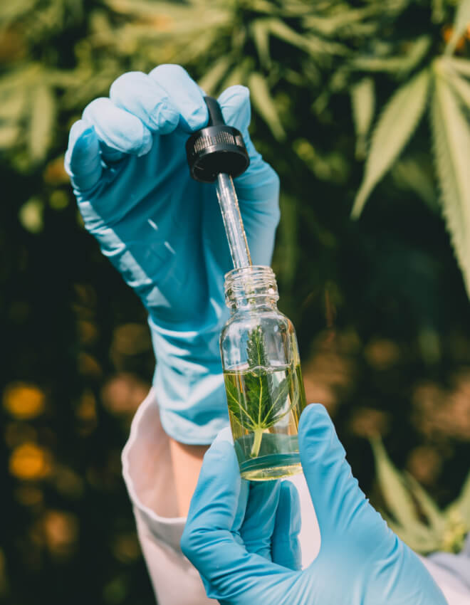 Gloved hands holding a dropper and clear bottle containing liquid and a cannabis leaf, with plants in the background.