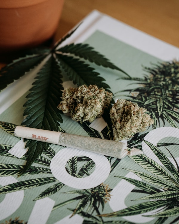 A rolled joint and two cannabis buds are placed on a book with a cannabis leaf print on the cover.